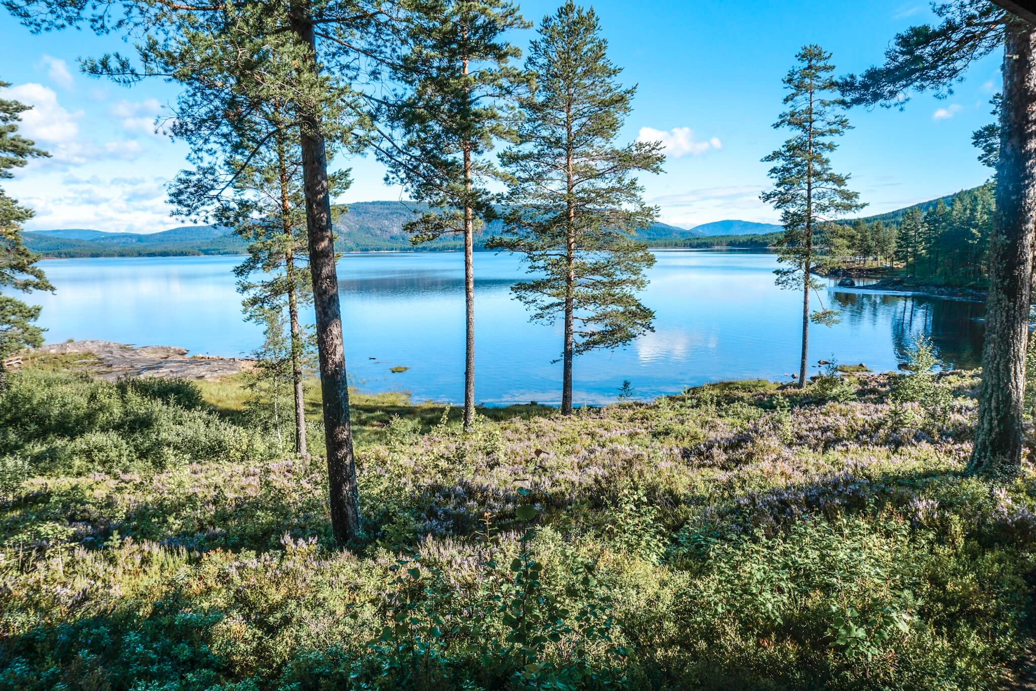 que faire région télémark norvège blog