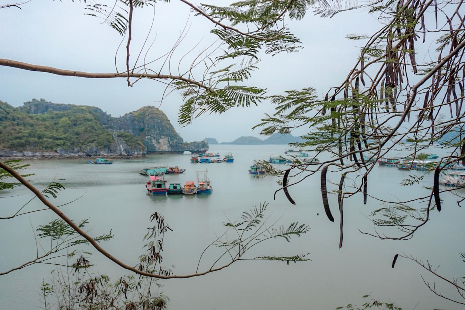 croisière à la journée long baie vietnam