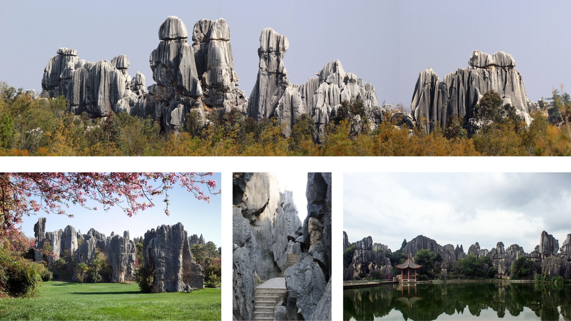 que faire kunming alentours blog voyage chine