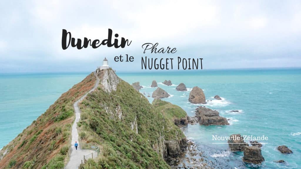 dunedin et le phare de nugget point blog voyage