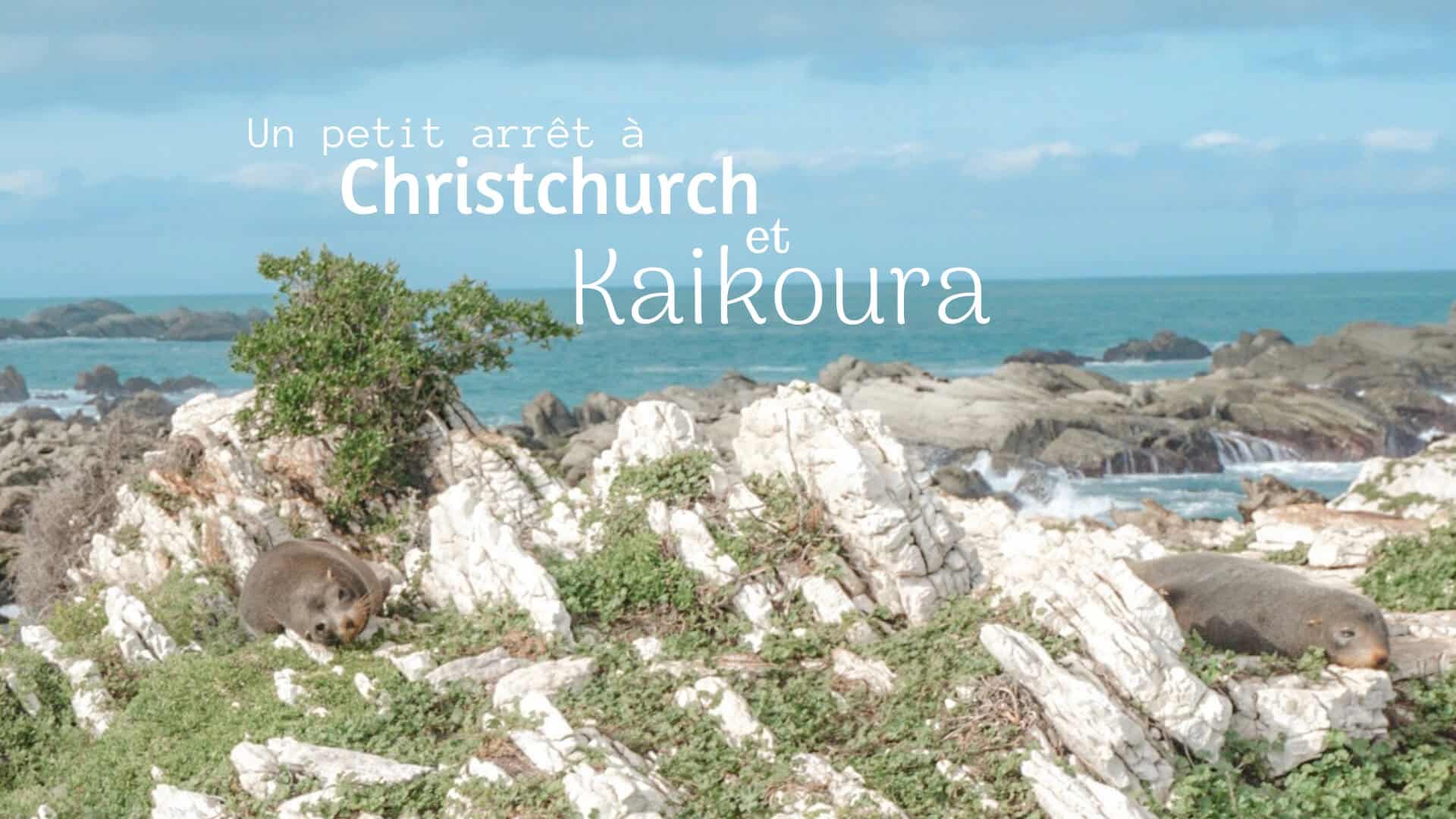 péninsule kaikoura nouvelle zelande que faire