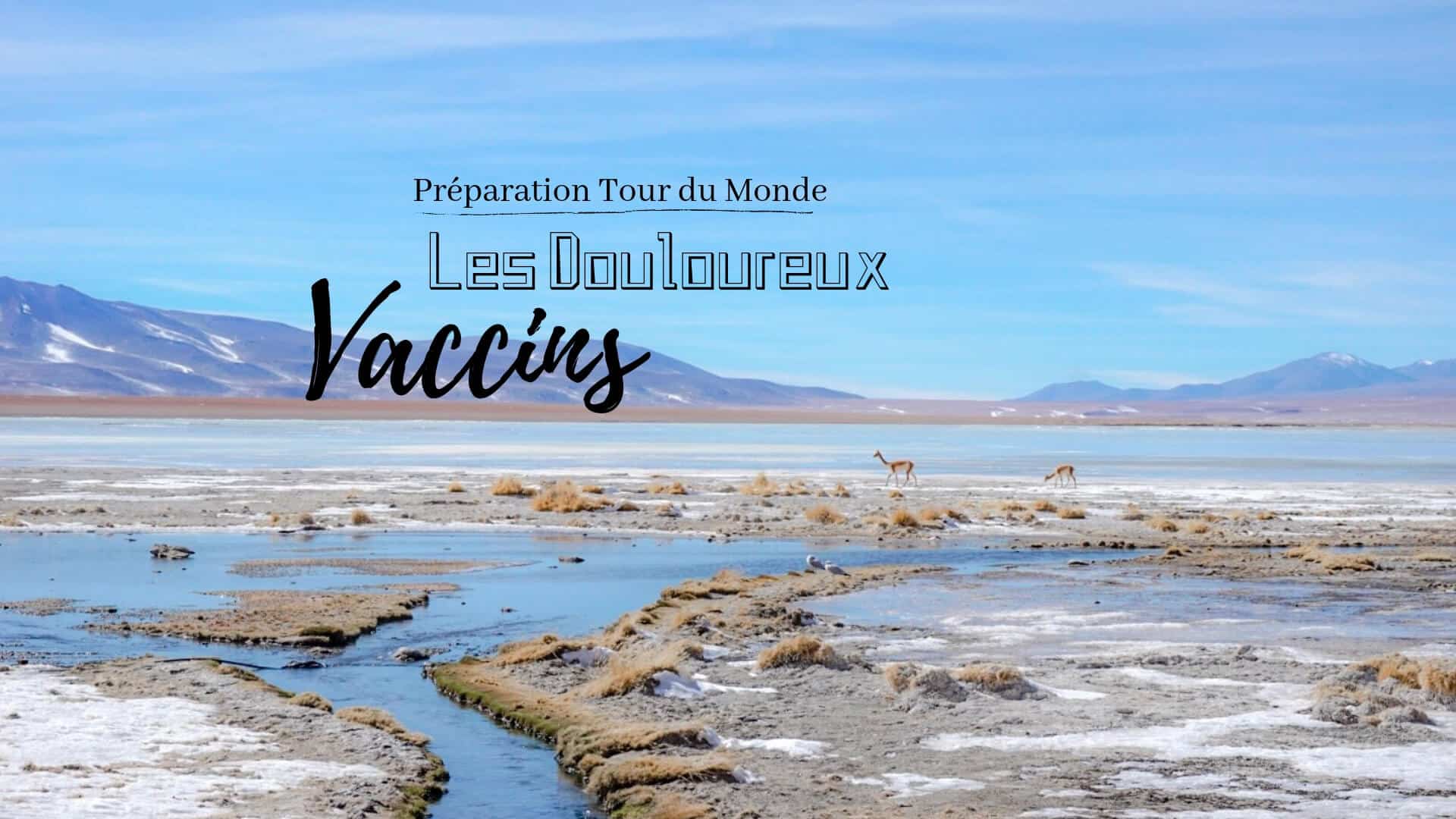 quels vaccins pour voyager
