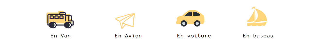 comment se déplacer nouvelle zélande transport van