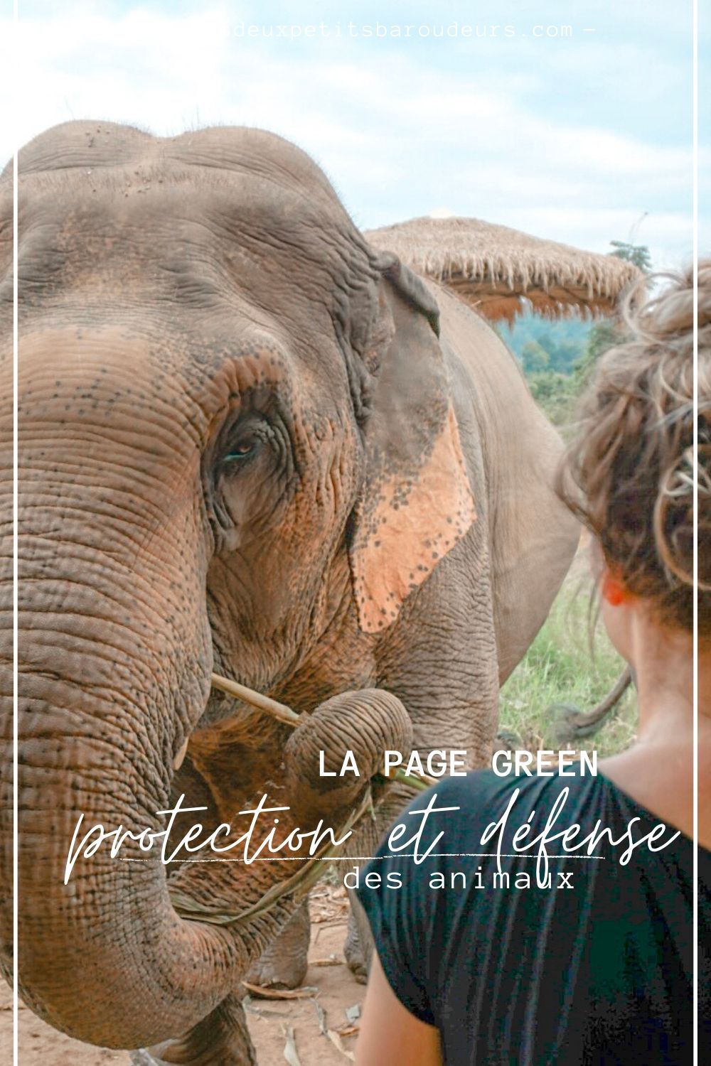 protection des animaux blog voyage