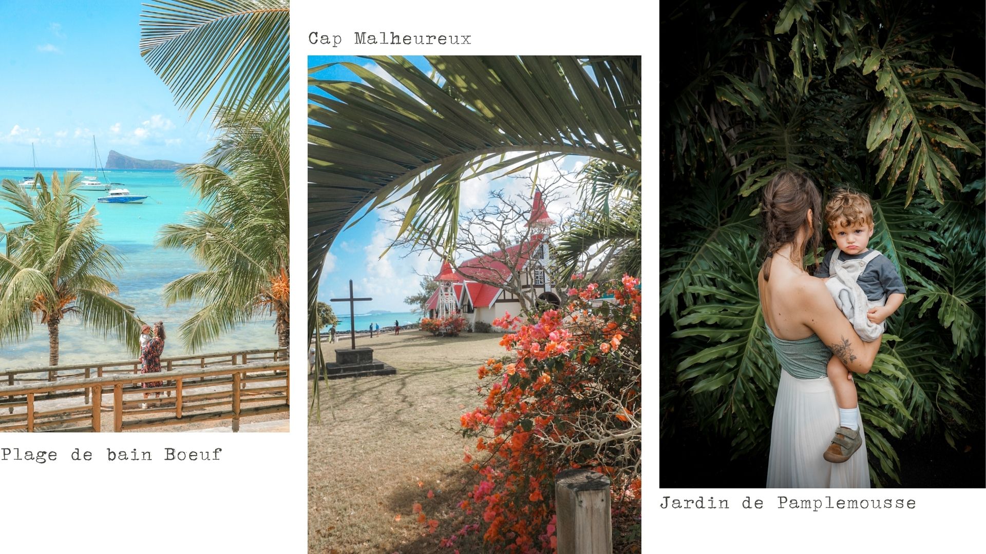 visiter le Nord de l'île Maurice, Cap Malheureux, jardin de Paplemousse