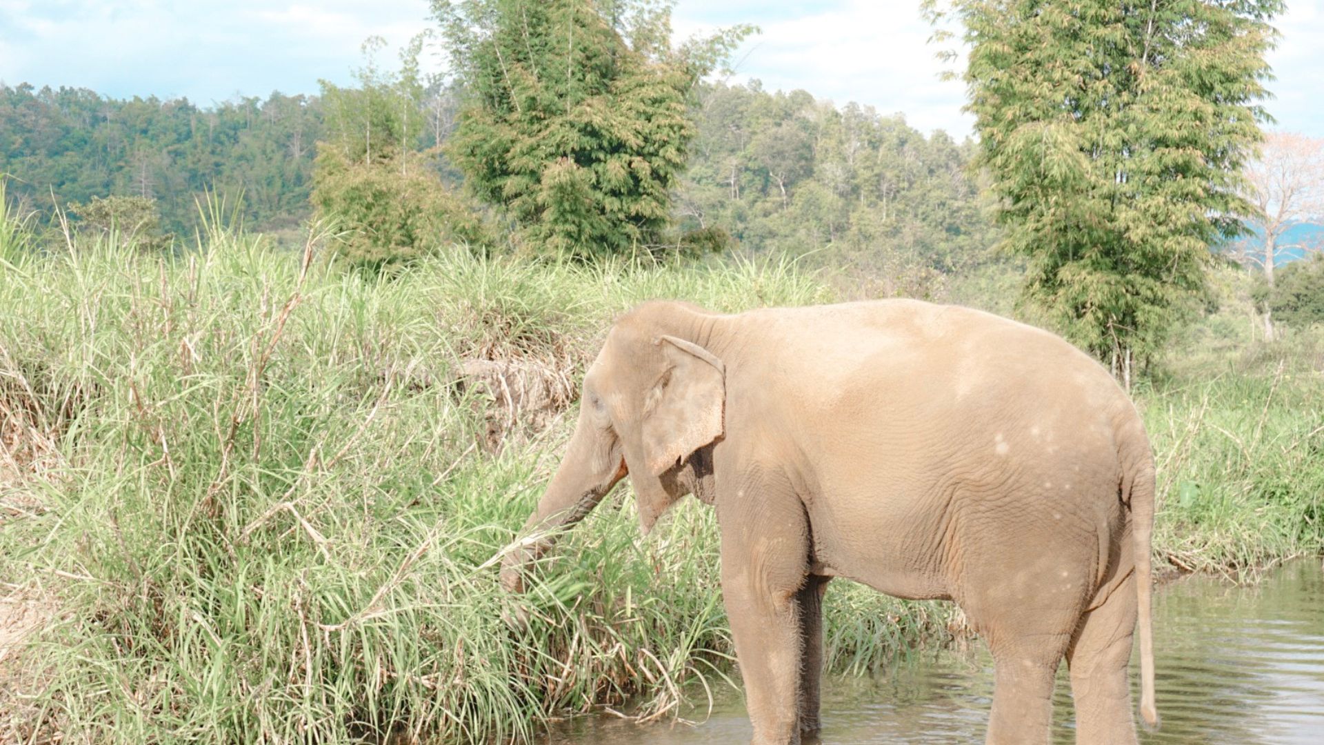 voyage en famille en thailande