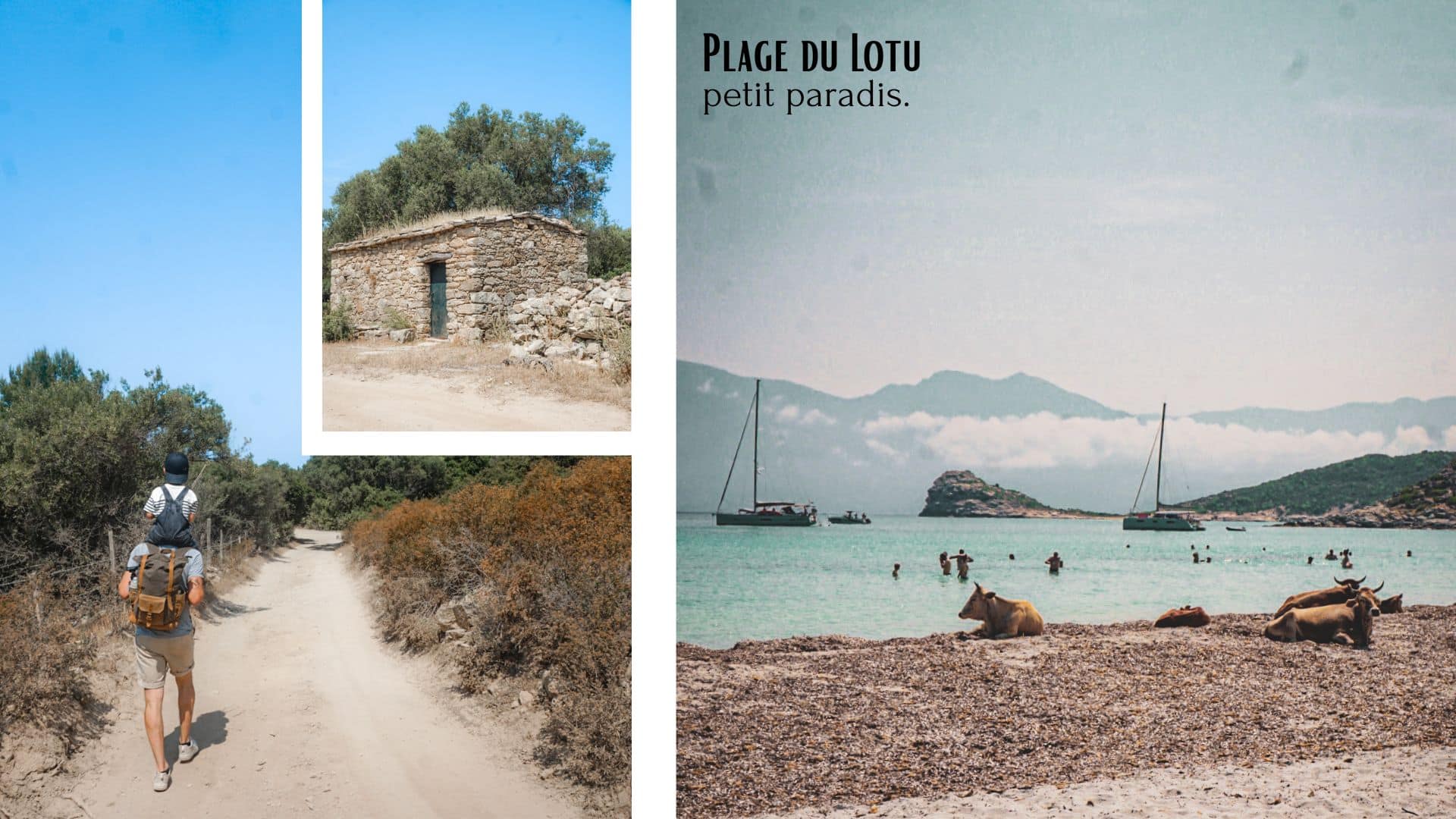 desert des agriates corse du nord