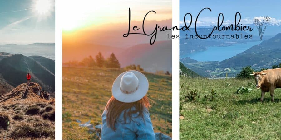 grand colombier