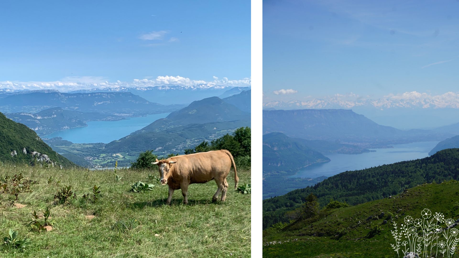 grand colombiers