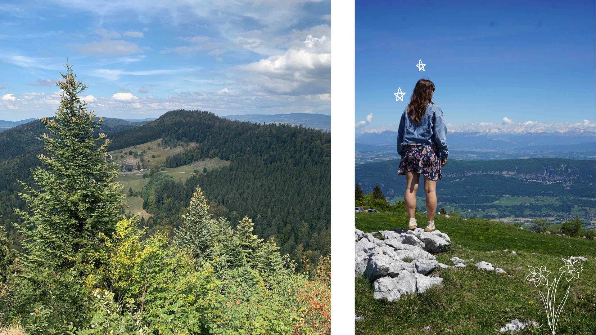 le grand colombier que faire
