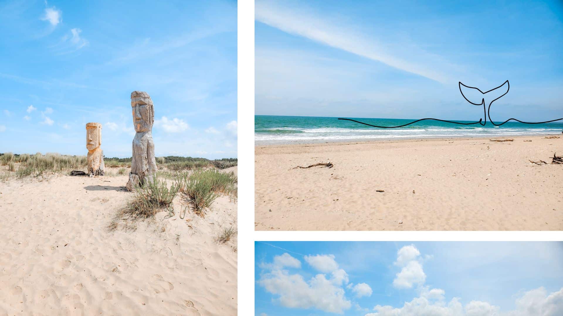que faire ile oleron
