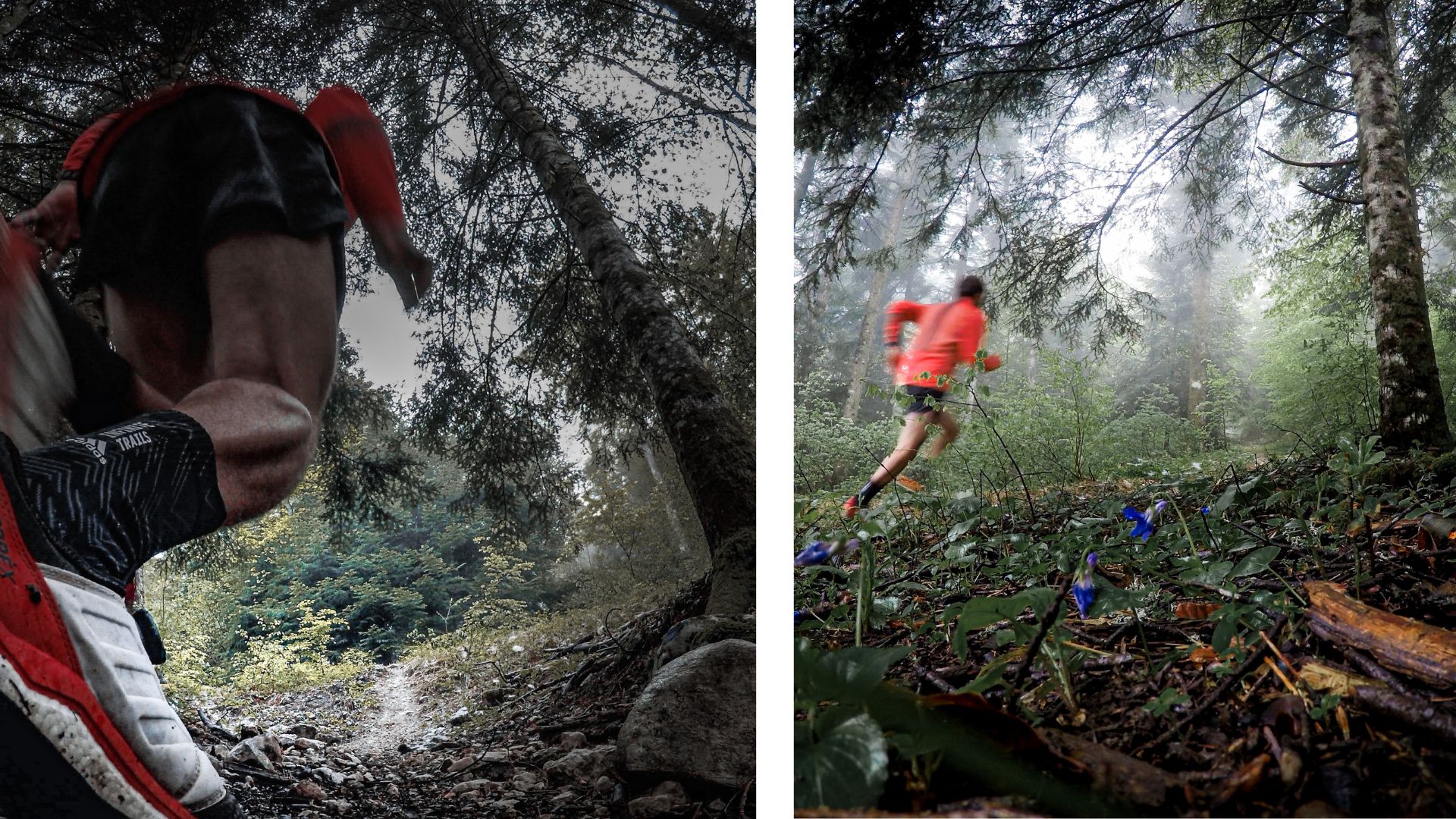 trail du grand colombier