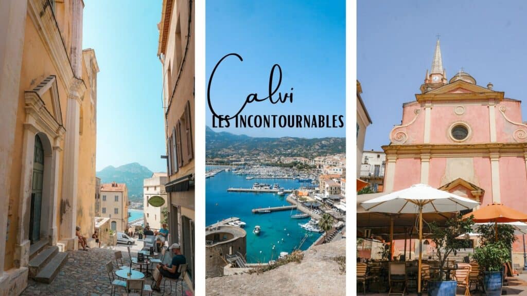que faire a calvi