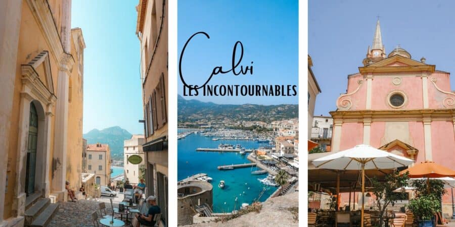 que faire a calvi