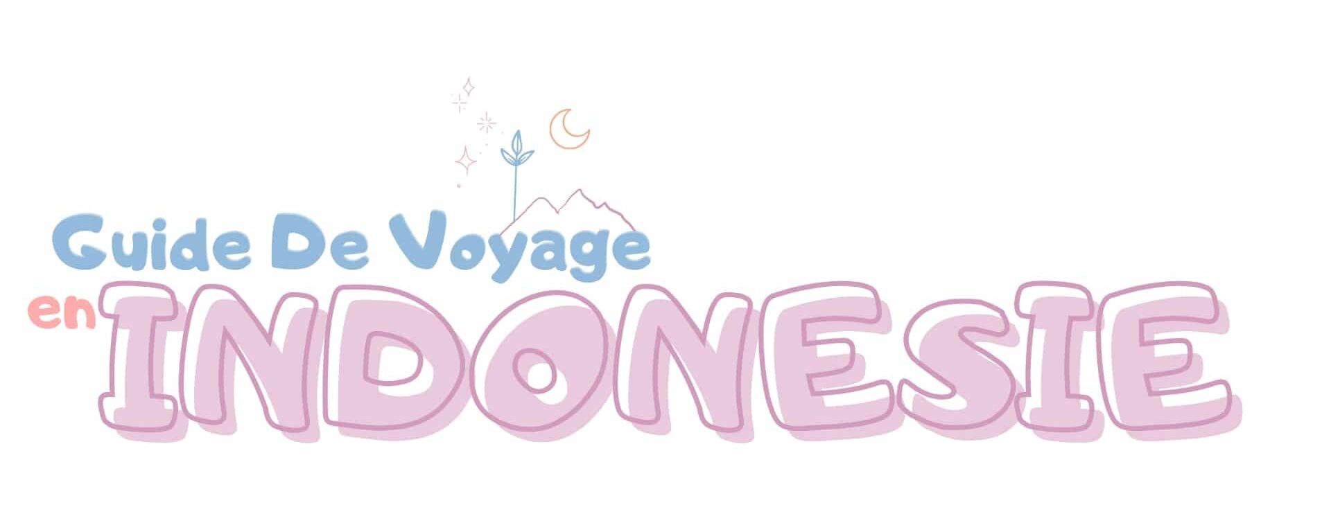 voyager indonesie
